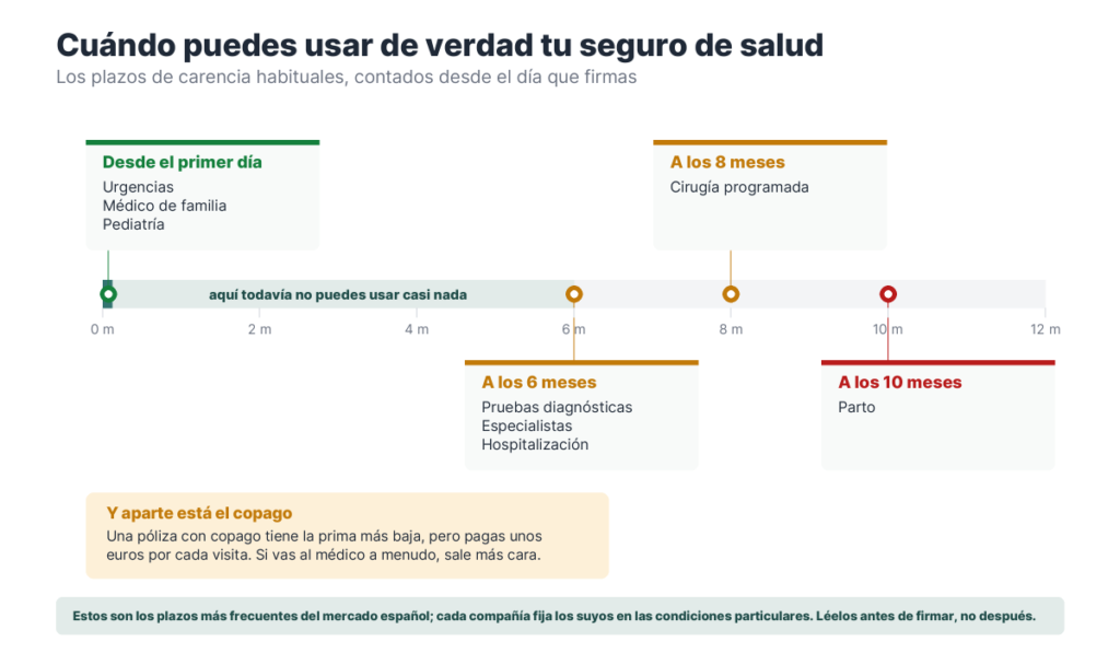 Línea de tiempo de doce meses desde la firma con lo que se puede usar el primer día, a los seis